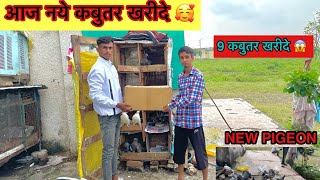 आज 9 कबुतर खरीदे // New fancy pigeon // New highflier pigeon #highflyerpigeon #yavatmalpigeon #vlog