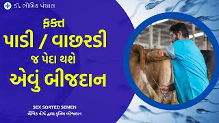 Sex-sorted Semen | લૈંગિક વીર્ય દ્વારા બીજદાન | New Technology | ફક્ત વાછરડી પાડી જન્મે એવો ડોઝ