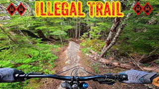 Riding an Illegal Trail in the Whistler Bike Park - Double Black Danger