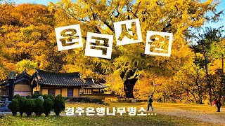 운곡서원(feat. 은행나무)/ 경주