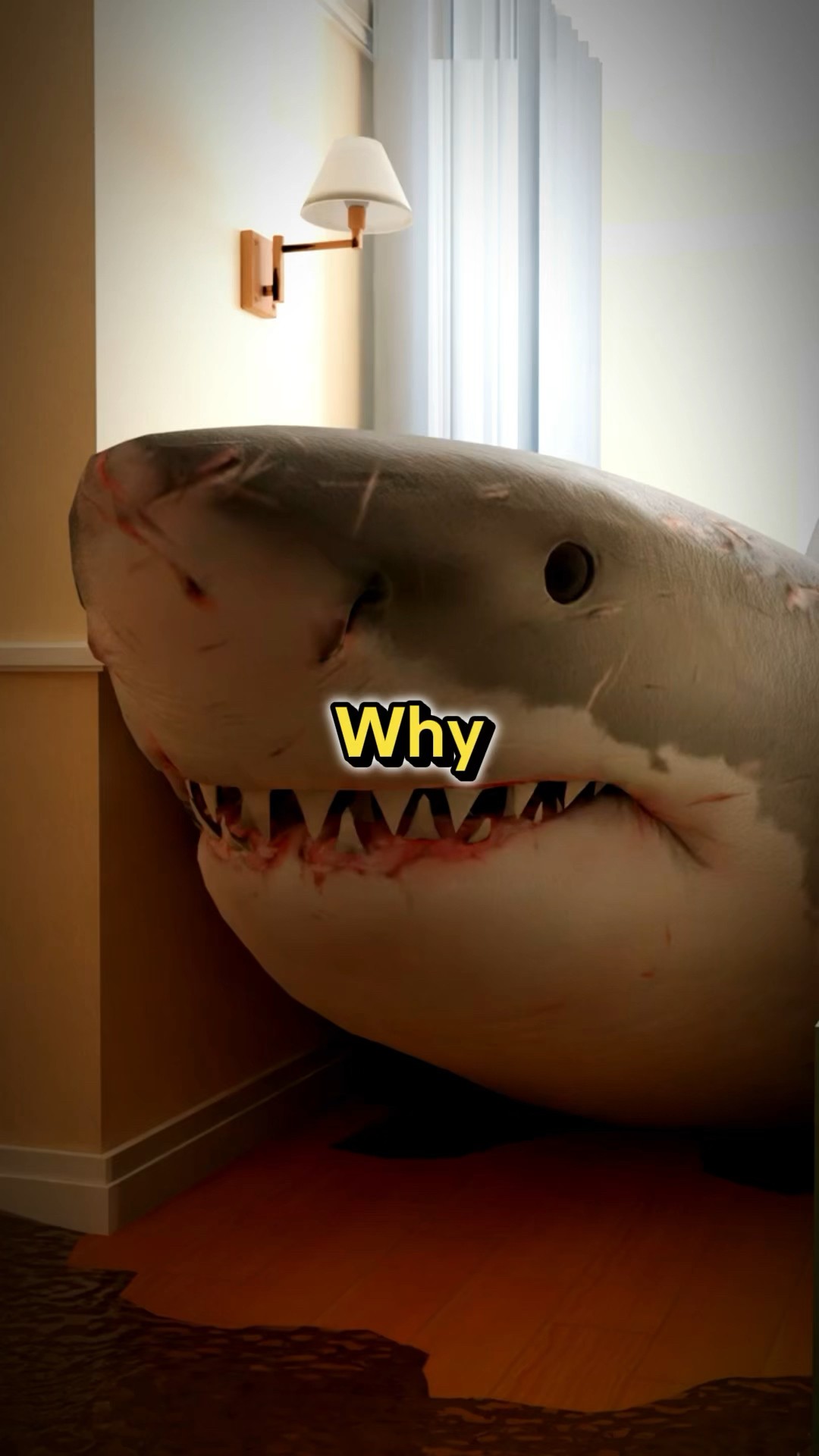 Why Do SHARKS Attack HUMANS? 🌊🐋🦈 - YouTube