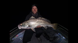 Fishing Moreton bay - Weekend Fishing Mission