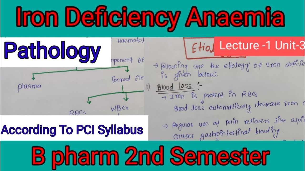 Iron Deficiency Anaemia | Pathology Unit-3 | Etiology And ...