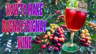 BUGNAY/BIGNAY WINE | HOMEMADE WINE | 3 INGREDIENTS ONLY | EASY RECIPE WINE