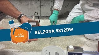 Belzona 5812DW