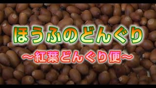 『ほうふのどんぐり　～紅葉どんぐり便～』(ほうふほっとライン：2021年12月放送）