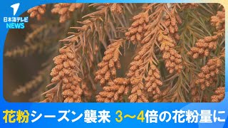 【今年も「花粉」の季節が…】今年は3～4倍の飛散量に　本格的な花粉シーズン前に早めの対策と体調管理を呼びかけ