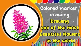 Easy Lavender Flower Drawing Tutorial || How to Sketch Lavender Flowers in a Simple Way