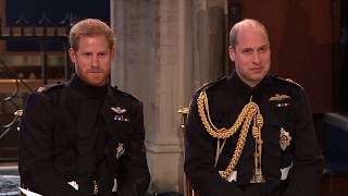 Weird cat choir singing at the Royal wedding
