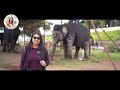 ದಸರಾ ಗಜಪಡೆಯ ಎಲ್ಲಾ ಆನೆಗಳ ಸಂಪೂರ್ಣ ವಿವರ 14 plus 1 elephants details mysore palace dasara 2022 tourist