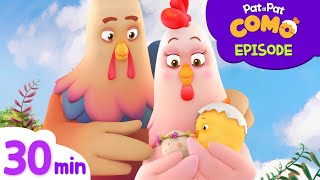 Como Kids TV | The story of Como's family | 30min | Cartoon  for kids