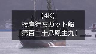 【4K】接岸待ちガット船『第百二十八鳳生丸』