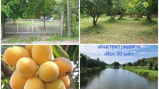 ️ที่สวนใจกลางเมืองสาริกา 2 ไร่ยกแปลงลดเหลือ 4.5ล้าน โฉนดครุฑแดงพร้อมโอน จ.นครนายก