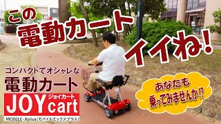 電動カート「JOYカート」（MOBILE-Xplus・モバイルエックスプラス)で公園を散歩！爽やかな風を受け、気分爽快です！