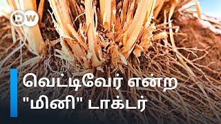 வெட்டிவேர் உற்பத்தி மூலம் வெற்றியை குவிக்கும் தமிழக இளைஞர் - எப்படி? | Uses of Vetiver | DW Tamil