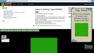 Colliding Turtle Challenge