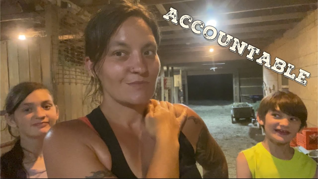 A Busy Farmstead Day Youtube