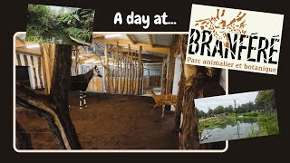 BRANFERE Zoo Full Tour- Crazy okapi encounter and wallabies everywhere!