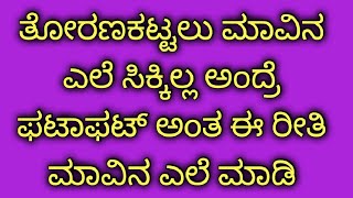 ತೋರಣ ಕಟ್ಟಲು ಮಾವಿನ ಎಲೆ ಸಿಕ್ಕಿಲ್ಲಾಂದ್ರೆ  ಈ ರೀತಿ ಮಾವಿನ ಎಲೆ ಮಾಡಿ/Grand Torana/decoration/Creative craft