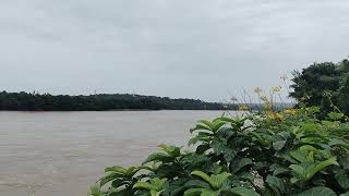 Bharathappuzha- Velliyankallu regulator cum bridge. Thrithala Palakkaad.