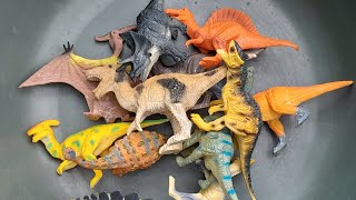 Dinosaurus Tyrannosaurus, Tryceratops, Spinosaurus, Velociraptor, Brontosaurus,