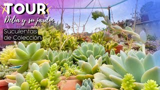 TOUR Suculentas de colección en MI JARDÍN🌱 | Nombres / ID | Delia y su Jardín 💚 Pt.2