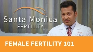 What Causes Infertility? About Female Infertility and Fertility Tests