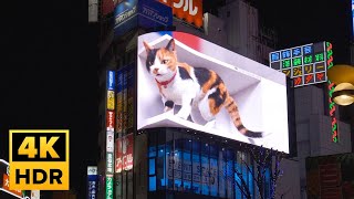 Shinjuku east exit cat (新宿東口の猫) 🇯🇵 - 4K HDR