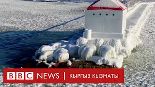 АКШны Арктика бороону каптады   - BBC Kyrgyz