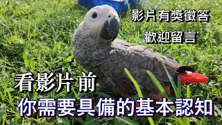 【屈原之天下鳥事】網路飼養教學說得風聲水起，為什麼自己操作確不得要領？你必須有的基本認知（有獎徵答活動開始嘍