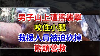 男子山上遭熊襲擊咬住小腿，救援人員被迫砍掉熊頭營救