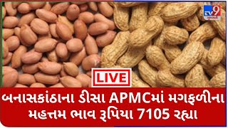 Mandi: બનાસકાંઠાના ડીસા APMCમાં મગફળીના મહત્તમ ભાવ રૂપિયા 7105 રહ્યા | Tv9News