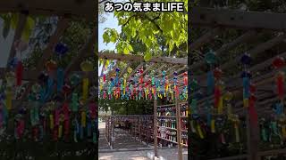 夏詣🎐【市原稲荷神社】＃愛知県 ＃刈谷市 ＃夏 ＃風鈴　＃神社