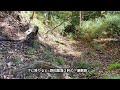 大町散策｜ 野田山城｜ 山城探索｜ 紅葉｜ 八坂【4k】2024.11.9撮影｜長野県大町市【今日のねー散歩】