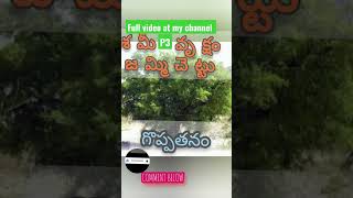 శమీ-వృక్షం #god #history #reels #telugu #trending #bhakti #ytshorts #viral #telugunews #facts #fact