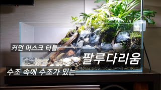 수조속에 수조가 있는 팔루다리움 제작기, 거북이 수조, 수조레이아웃/Waterfall Paludarium with a tank in the tank, turtle tank