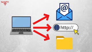 Network Ports Explained: A Beginner’s Guide