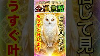 【白梟の金運エネルギー】白梟のご利益で億万長者⛩️見るだけで奇跡✨富と幸運があなたの人生に訪れる🍀#金運上昇 #金運 #お金 #開運 #spiritual #shorts  #引寄せ #吉兆