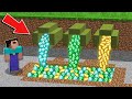 Minecraft NOOB vs PRO: NOOB FOUND SECRET MULTI TREASURE TRUMPETS OUTSIDE VILLAGE GOLEM 100% trolling