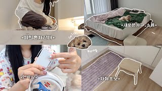 미혼산ep.1 서툰 게 많은,, 자취 시작 VLOG˚₊✩‧₊  이사하고 • 자취템 언박싱 • 이케아쇼핑 • 여주 도자기 아울렛 데이트 코스 추천까지••❤︎