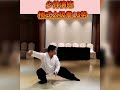 少帥傅清泉老師，演練楊式傳統太極拳13勢 master james fu domonstrated 13 forms of yang s taichi quan