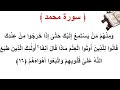 سورة محمد الأية 16