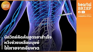 รักษาอัมพาตในหนูทดลอง เพื่อเตรียมนำมาช่วยเหลือมนุษย์ | beartai BRIEF