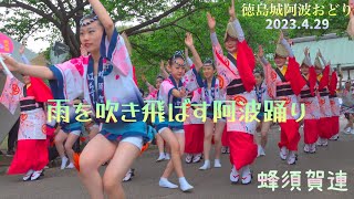 【蜂須賀連･徳島城阿波おどり】2023年4月29日/流し踊り(お花見広場)Awa Odori,Awa dance,Hachisukaren,HDR,徳島中央公園,はちすか連