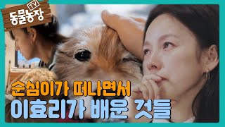 [감동] “쓰다듬어 주고 싶다” 이효리, 순심이와 이별 통해 느낀 것들 I TV동물농장 (Animal Farm) | SBS Story