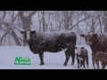 Around Kansas - Poem from Ron Willson: