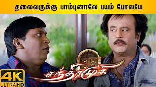 Superstar Stylish Scenes Part 1 | Chandramukhi Tamil Movie | Rajinikanth | Nayanthara | Vadivelu