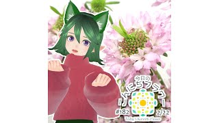 【スカビオサ】ちょんまげシリーズ【花市場のお花紹介】  #Shorts