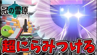 【ポケモン剣盾】遂に来た高速勝気アタッカー!! ガラルフリーザーの凍てつく視線!!【冠の雪原】