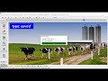 dairycomp tutorial backups